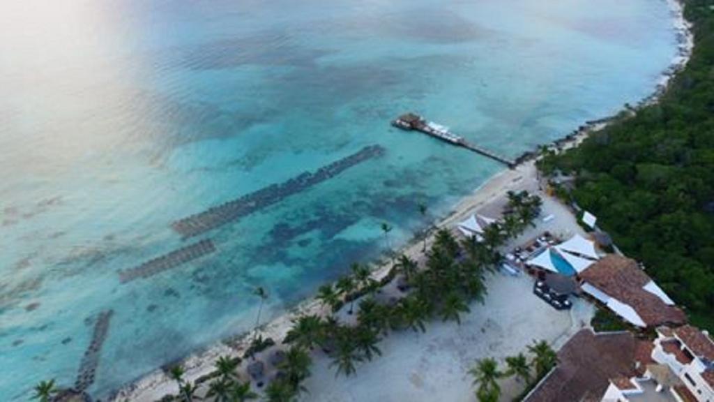Cadaques Caribe Pez 103 Apartment Bayahibe Exterior photo